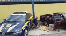 Polícia apreende mais de 30kg de haxixe durante abordagem em Betim