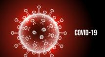 Covid-19: Confira os dados atualizados do novo coronavírus em Betim nesta segunda (30)