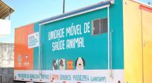 Prefeitura de Betim realiza castração gratuita de cães e gatos