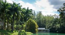 Coronavírus: Instituto Inhotim suspende funcionamento