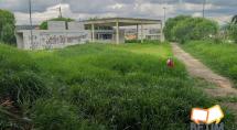 Parque Alto das Flores é tomado por mato e vira bota-fora