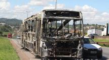 Vingança por morte em tiroteio com a PM motivou caos na BR-381