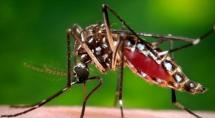 Betim confirma 181 casos de dengue e mais de mil notificações