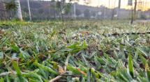 Inverno começa neste domingo (21)