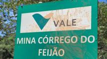 Vale começa registro para pagamento a afetados por rompimento da barragem na próxima segunda (25)