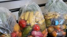 Kit Verde será entregue quinzenalmente para famílias cadastradas