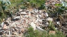 Animais peçonhentos saem de lote vago e invadem casas no Cruzeiro do Sul Animais peçonhentos saem de lote vago e invadem casas no Cruzeiro do Sul