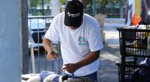 Betim realiza mutirão de castração gratuito para cães e gatos no mês de setembro