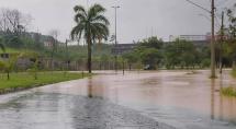 Chuva forte em Betim gera alagamentos e queda de árvores