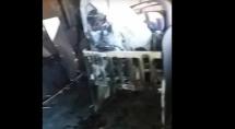 Casa pega fogo e grávida de nove meses perde tudo em Betim