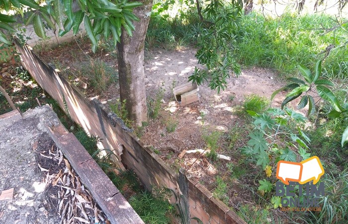 lote02