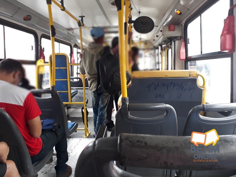 betimonline-transporte01