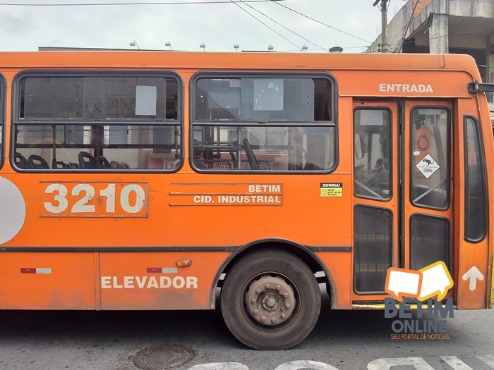 transportepublico03