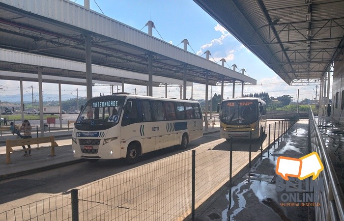 transportepublico04