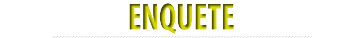 enquete