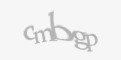 Código de segurança